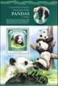 Conservation Projects Around the Globe - Pandas