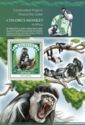 Conservation Projects Around the Globe - Colobus Monkey