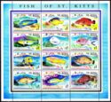 Fish of St. Kitts