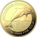 100 Dollars (Bottlenose Dolphin)