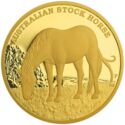 300 Dollars (Australian Stoch Horse)
