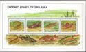Endemic fishes of Sri Lanks