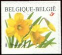 Wild Daffodil Self-adhesive - Left and Bottom Imperforate