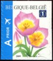 Tulip Bakeri Self-adhesive Top Imperforate