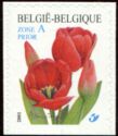Red Tulip Self-adhesive - Bottom Imperforate