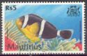 Mauritian Anemonefish (Amphiprion chrysogaster)