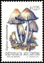Coprinus atramentarius