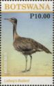 Ludwig's Bustard (Neotis ludwigii)