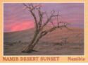 Namib Desrt Sunset