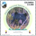 Andean Bear at Chingaza National Park