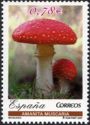 Fly Agaric Mushroom, (Amanita muscaria)