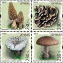 Mushrooms of Artsakh