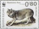 Gray Wolf (Canis lupus lupus)