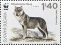 Gray Wolf (Canis lupus lupus)