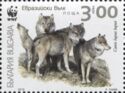 Gray Wolf (Canis lupus lupus)