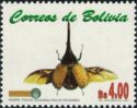 Hercules Beetle (Dynastes sp.) 