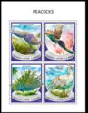 Peacocks