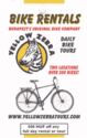 Yellow Zebra - Bike Rentals