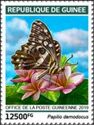 Citrus swallowtail (Papilio demodocus)