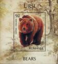 Brown Bear (Ursus arctos)