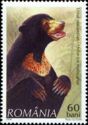 Sun Bear (Helarctos malayanus)