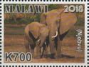 Elephants