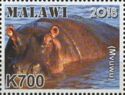 Hippopotamus (Hippopotamus amphibius)