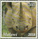Rhinoceros