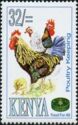 Poultry Breeding - Chicken (Gallus gallus domesticus) 