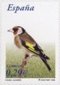 European Goldfinch (Carduelis carduelis)