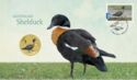 1 Dollar (Australian Shelduck. Stamp and Coin Cover)