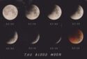 Lunar Eclipse-the blood Moon