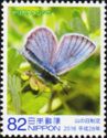 Butterfly (Lycaeides subsolanus yarigadakeanus)