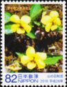 Daisen Yellow Violet (Viola Brevistipulata)