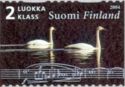 Swan of Tuonela, Whooper Swan (Cygnus cygnus)