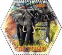 Loxodonta africana
