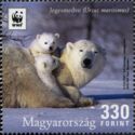 Polar Bear (Ursus maritimus)