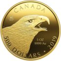500 Dollars (Birds of Prey: The Golden Eagle)
