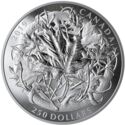 250 Dollars (The Canadian Maple Masters Collection - 5-Coin Fractional Set)