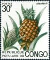 Ananas (Ananas comosus)