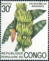 Banane (Musa paradisiaca)
