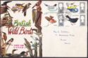 British birds