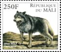 Wolf (Canis lupus)
