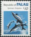 Spinner Dolphin (Stenella longirostris)