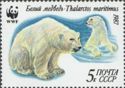Polar Bear (Ursus maritimus) In and Out of Water