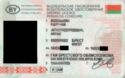 Belarus Driving Licence (Permis de Conduire)
