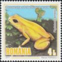 Golden Poison Frog (Phyllobates terribilis)