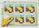 Golden Poison Frog (Phyllobates terribilis) MS