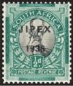 Springbok (Antidorcas marsupialis), overprinted