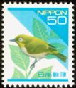 Japanese White-eye (Zosterops japonicus)
